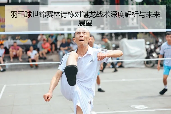 羽毛球世锦赛林诗栋对谌龙战术深度解析与未来展望